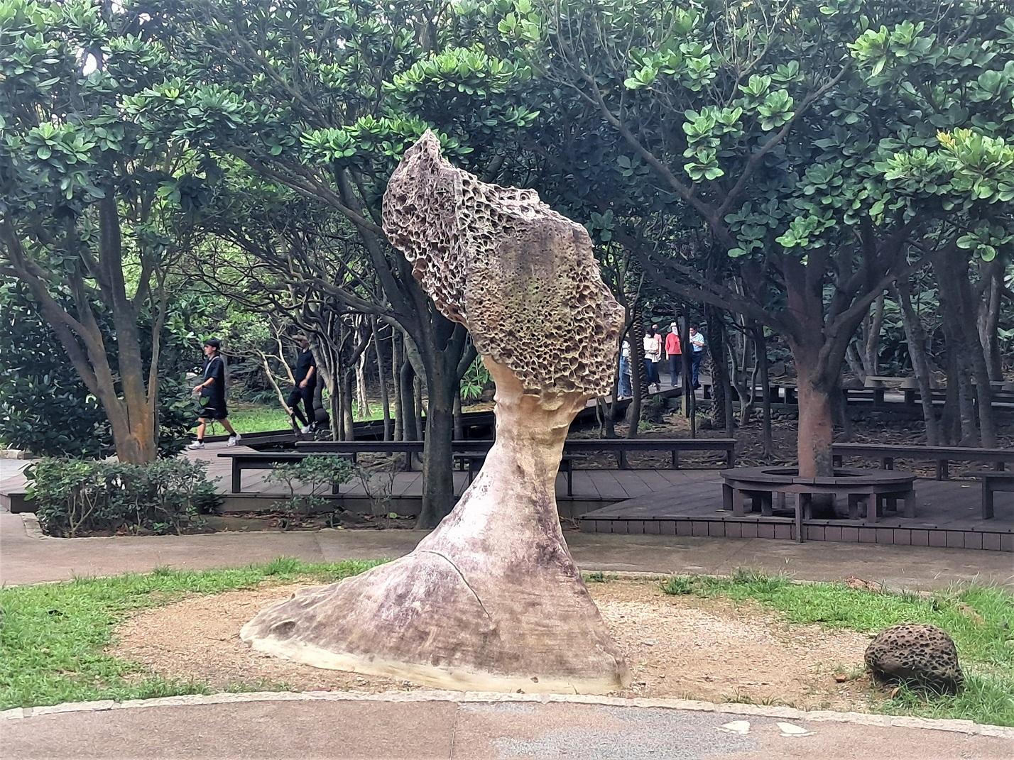 野柳地質搜奇 奇岩怪石讓你大開眼界